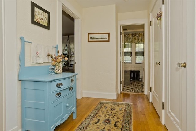 1142 Longmeadow St, Longmeadow, MA 01106 - hallway with light wood-type flooring and baseboards
