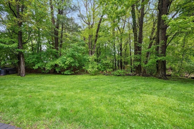 41 Dick Dr, Worcester, MA 01609 - view of green lawn
