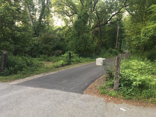46 Mill Rd, Dudley, MA 01571 - view of road with a forest view