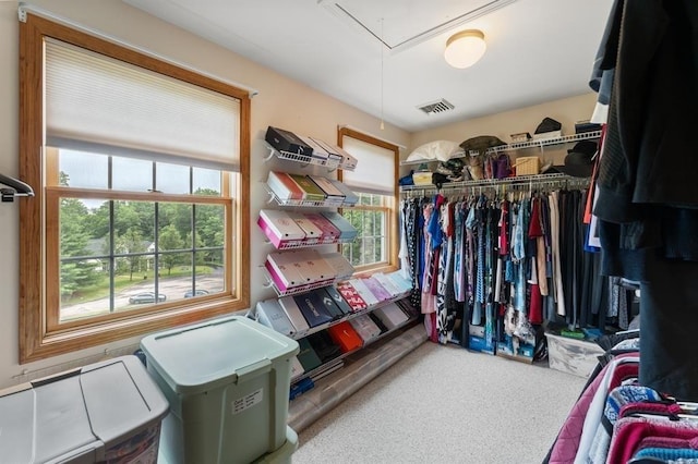 39 Grey Fox Lndg, Woodstock, CT 06281 - spacious closet with attic access and carpet floors