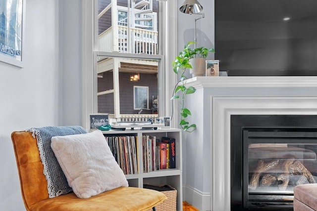 living area with a glass covered fireplace