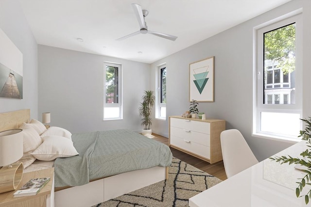 213 Harvard Unit 4, Cambridge, MA 02139 - bedroom featuring multiple windows, wood finished floors, and a ceiling fan