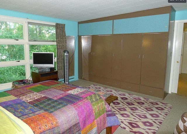 bedroom featuring a closet