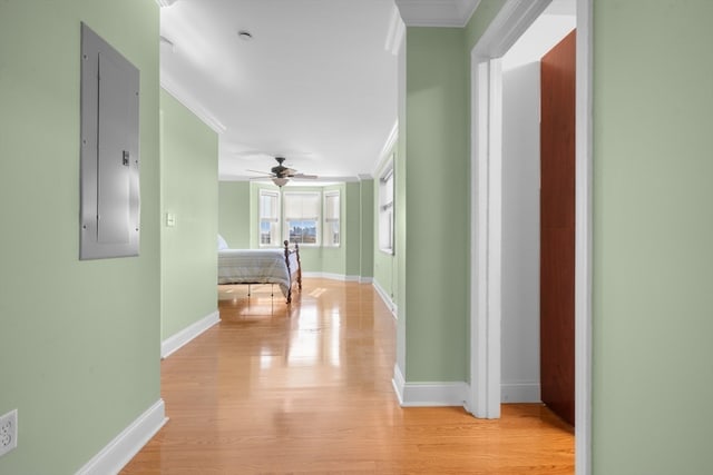 hallway featuring electric panel, light hardwood / wood-style floors, and ornamental molding