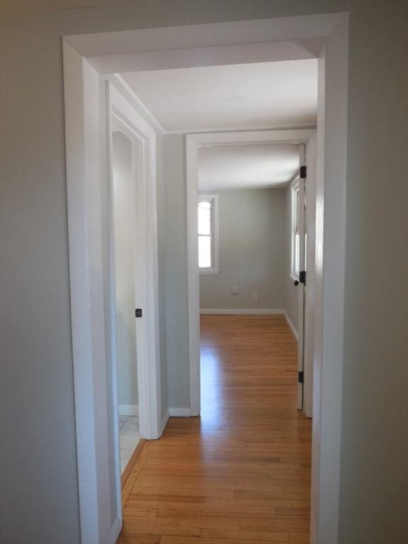 hall featuring light wood-type flooring