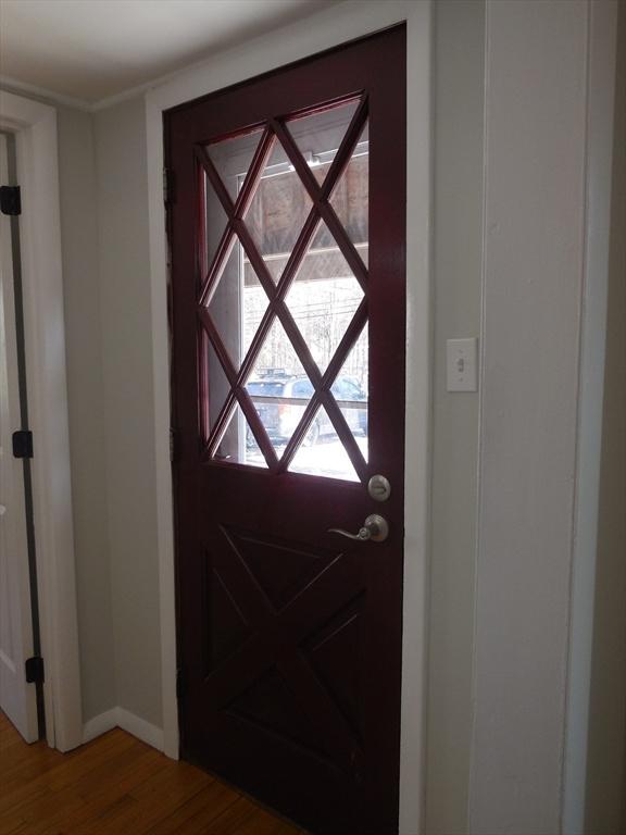 entryway featuring wood-type flooring