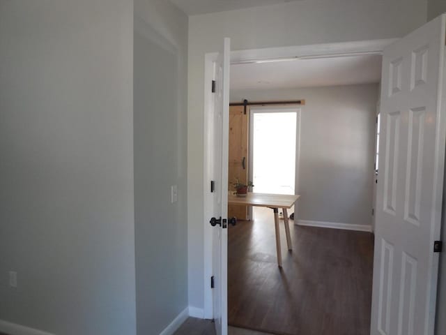 hall featuring dark hardwood / wood-style flooring and a barn door