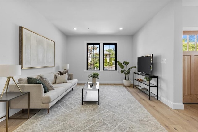 living room featuring hardwood / wood-style floors