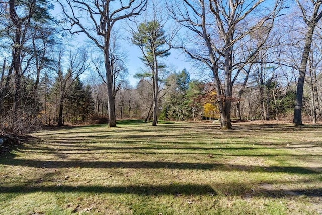 view of yard featuring a view of trees