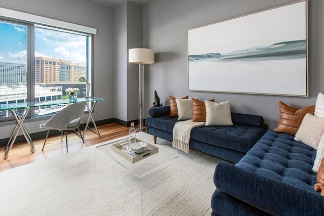 living room featuring hardwood / wood-style floors