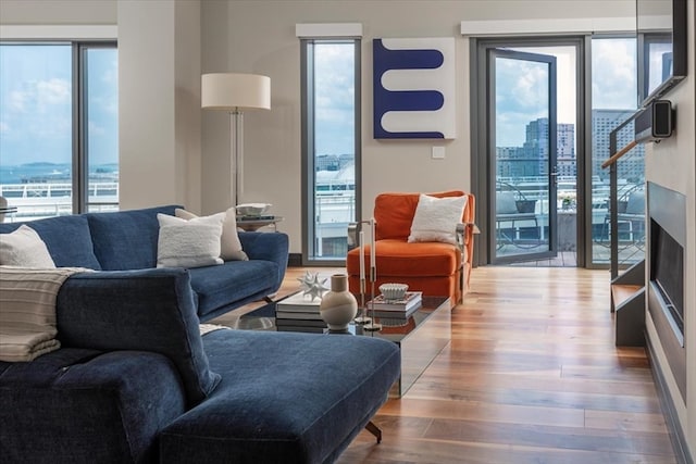 living room featuring hardwood / wood-style flooring and plenty of natural light