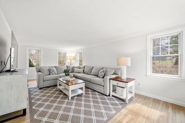 living area with crown molding and wood-type flooring