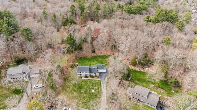 drone / aerial view