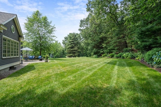 view of yard with a patio