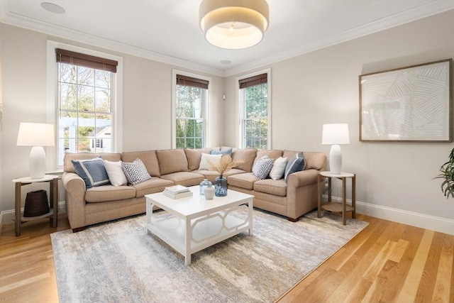 living area with light wood finished floors, ornamental molding, and a healthy amount of sunlight