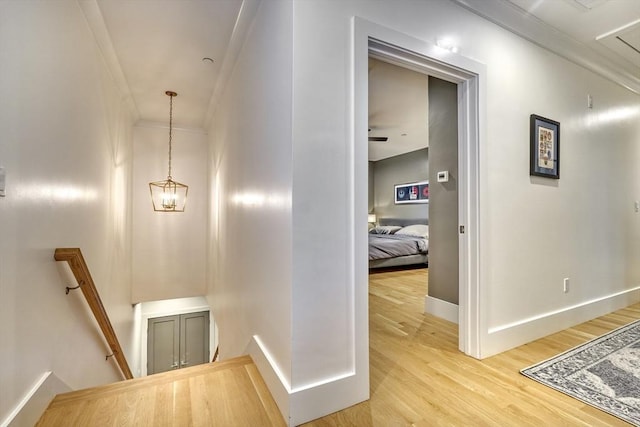 11 Conway St Unit 3, Boston, MA 02131 - hall with an upstairs landing, light wood-style floors, baseboards, attic access, and crown molding