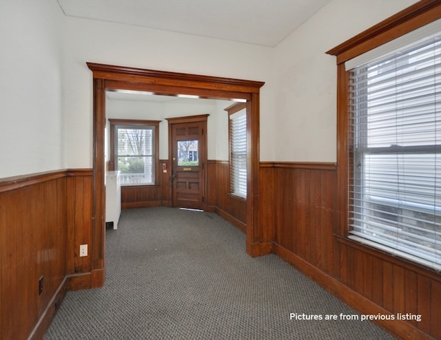 hall with wood walls, carpet floors, and a wealth of natural light