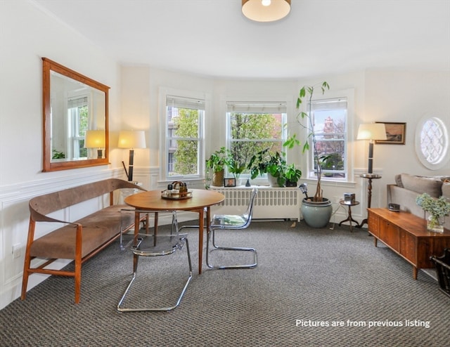 sitting room featuring breakfast area, carpet floors, and radiator heating unit