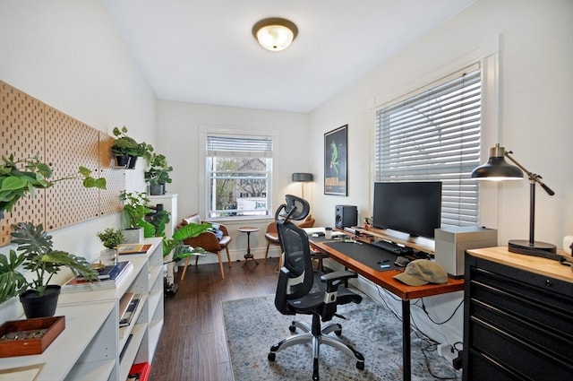 home office featuring dark hardwood / wood-style floors