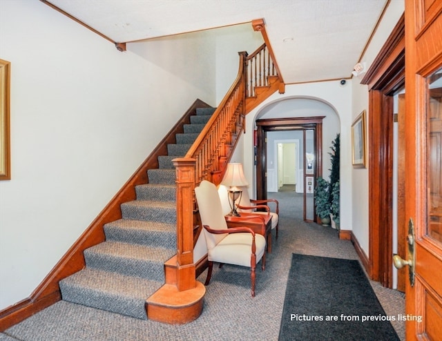 stairway with carpet floors