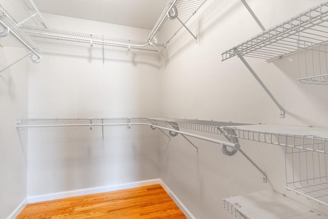 spacious closet featuring hardwood / wood-style flooring