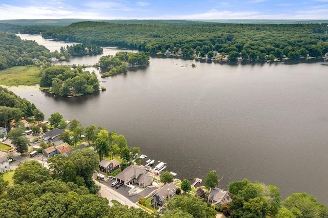aerial view of residential area featuring a forest and a large body of water
