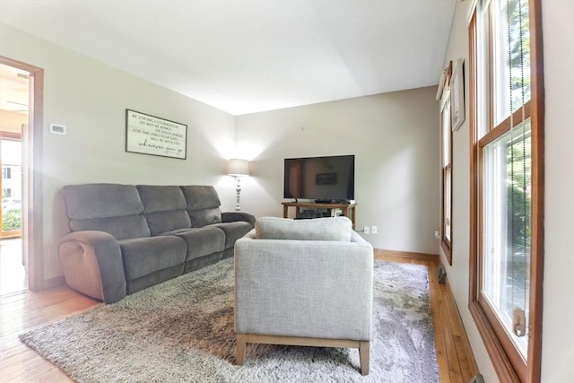 150 Hillside Rd Unit 2, Westfield, MA 01085 - living room featuring healthy amount of natural light, light wood-type flooring, and baseboards