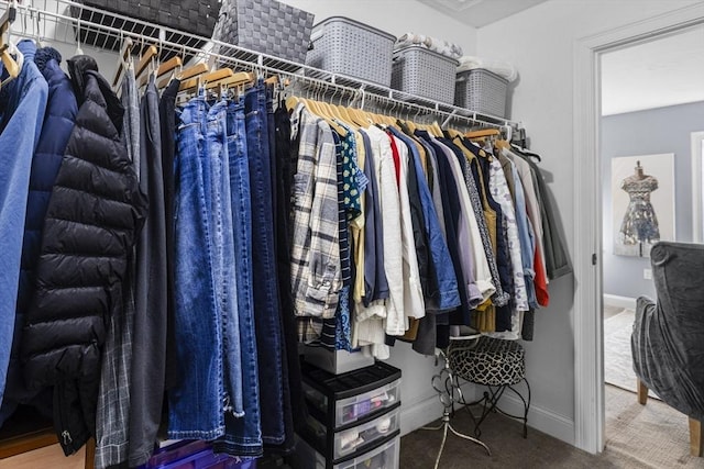 spacious closet featuring carpet flooring