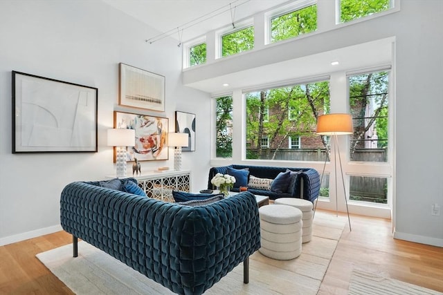 91 Kirkland St Unit 91, Cambridge, MA 02138 - living room with light wood-style floors and a towering ceiling