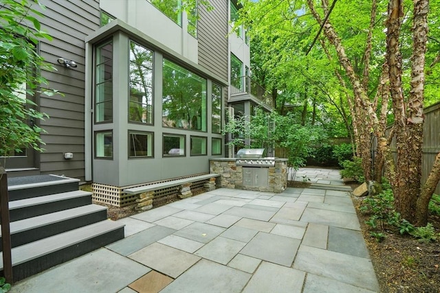 91 Kirkland St Unit 91, Cambridge, MA 02138 - view of patio / terrace featuring exterior kitchen