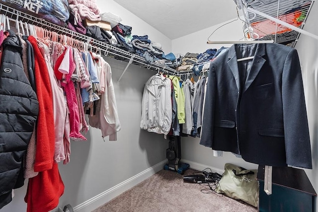 spacious closet with carpet