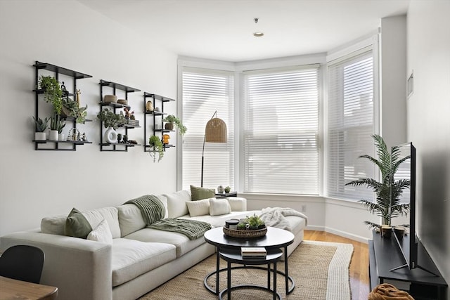 416 Marlborough St Unit 504, Boston, MA 02115 - living room featuring light wood-type flooring, baseboards, and a wealth of natural light