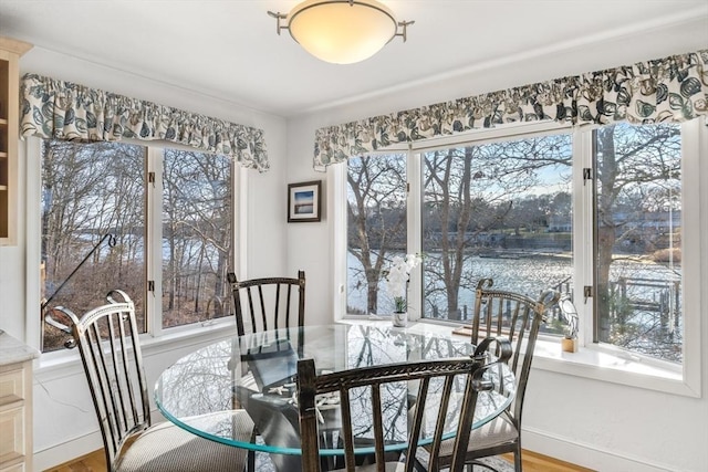 dining room featuring wood finished floors and a wealth of natural light