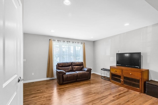 living room featuring wood-type flooring