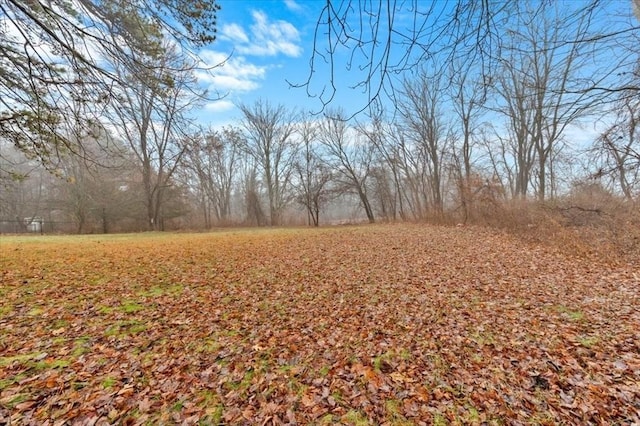 view of landscape