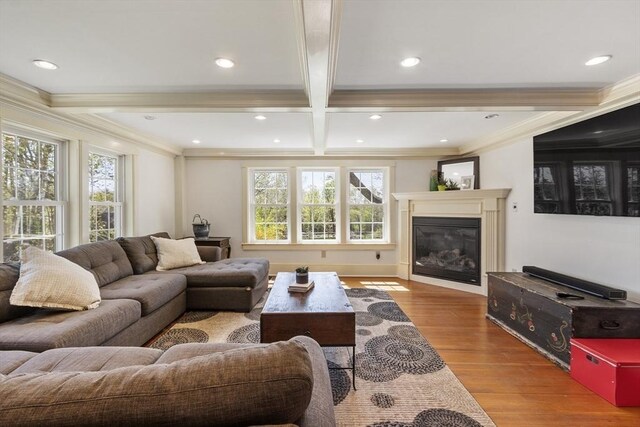 living room featuring crown molding, a glass covered fireplace, a healthy amount of sunlight, and wood finished floors