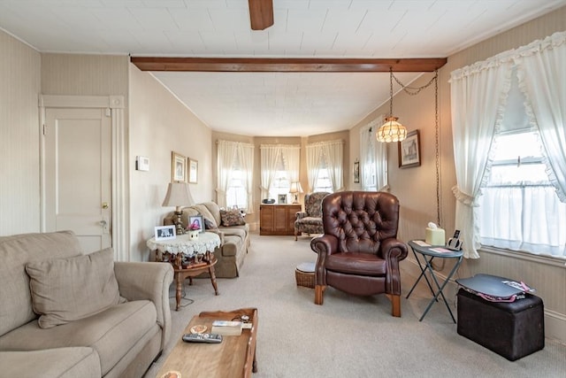 living area featuring beamed ceiling and carpet