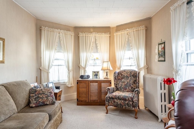 sitting room featuring carpet floors and radiator