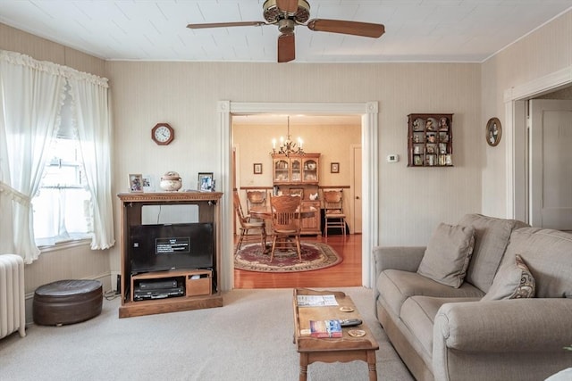 living area featuring ceiling fan with notable chandelier, radiator heating unit, and carpet