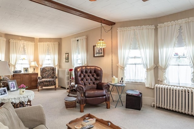 living room featuring beamed ceiling, carpet, and radiator heating unit