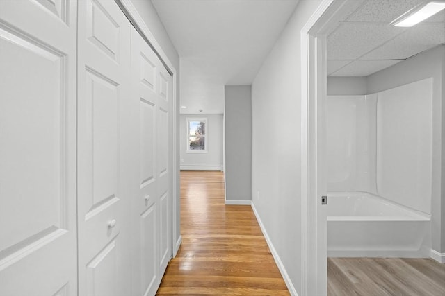 corridor with a baseboard radiator, light wood-type flooring, and a drop ceiling