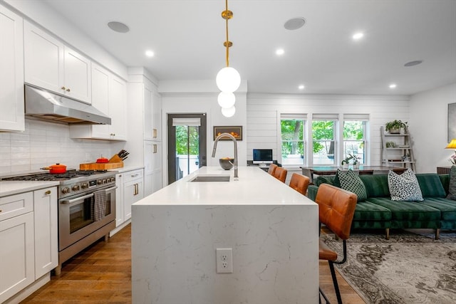 16 Walker St Unit 16, Medford, MA 02155 - kitchen with under cabinet range hood, stainless steel stove, a sink, open floor plan, and dark wood-style flooring