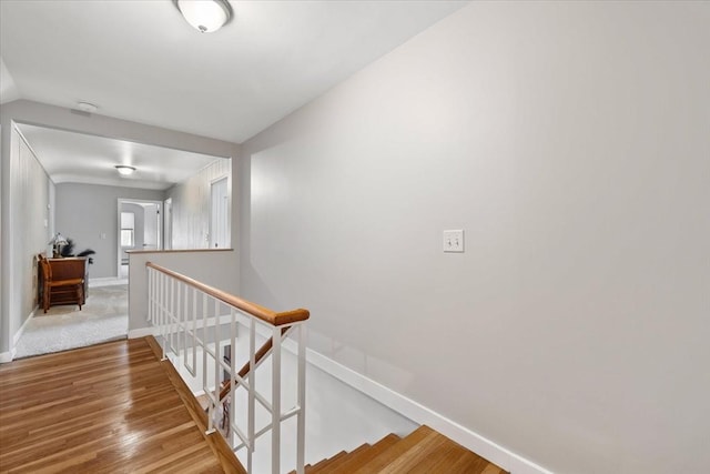 stairway with baseboards and wood finished floors