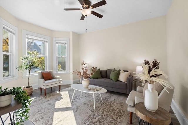 living room featuring ceiling fan and hardwood / wood-style flooring