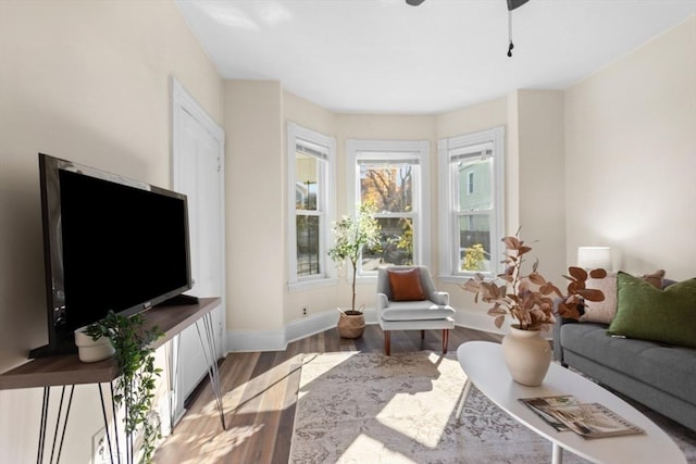 living room with ceiling fan and wood-type flooring