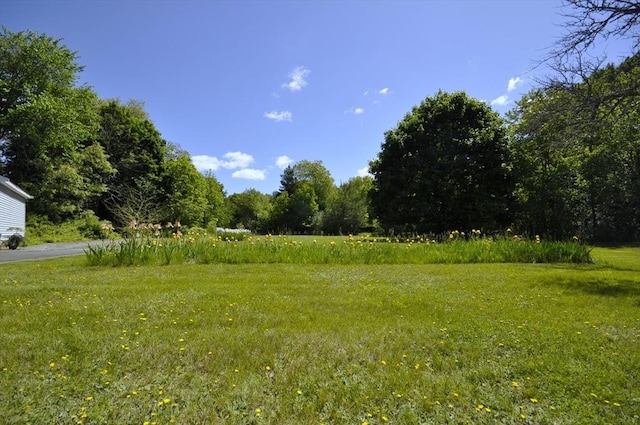 706 Washington St, East Bridgewater, MA 02333 - view of yard