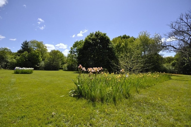 706 Washington St, East Bridgewater, MA 02333 - view of grassy yard