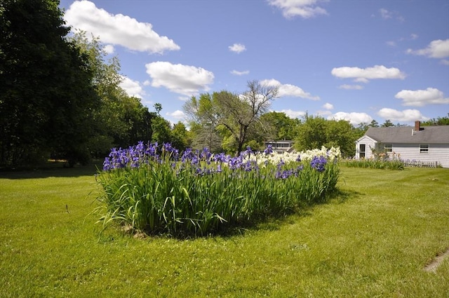 706 Washington St, East Bridgewater, MA 02333 - view of green lawn
