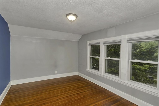 80 Rochelle St, Springfield, MA 01109 - bonus room featuring lofted ceiling, a textured ceiling, dark wood-type flooring, baseboards, and plenty of natural light
