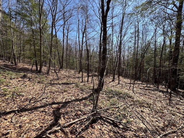 544 Fox Hill Rd, Vacant Land Bernardston, MA 01337
